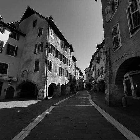 L'Appartement De Chiara A Annecy Bagian luar foto