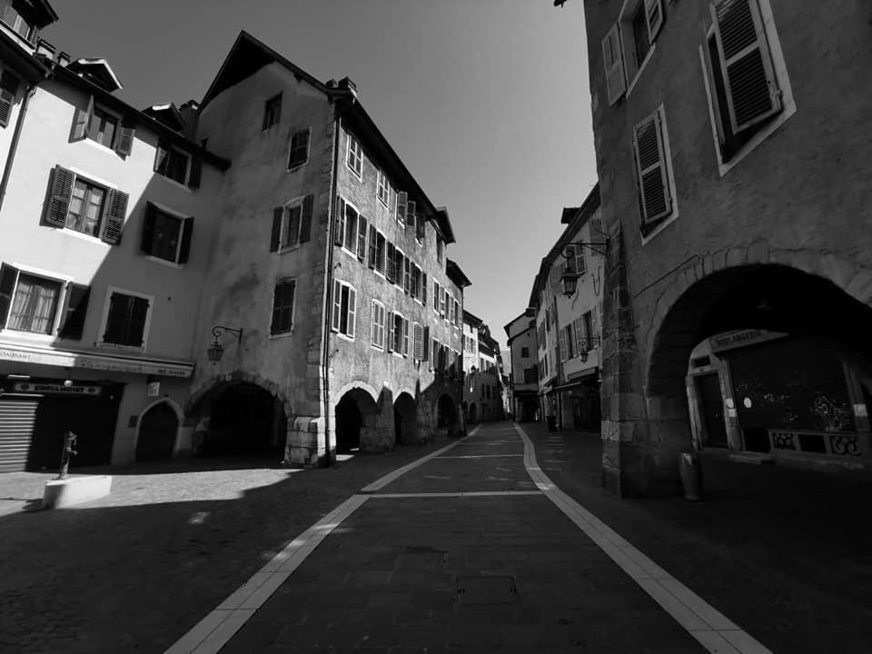 L'Appartement De Chiara A Annecy Bagian luar foto