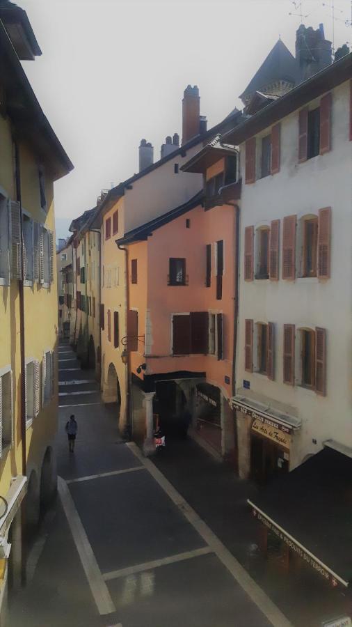 L'Appartement De Chiara A Annecy Bagian luar foto