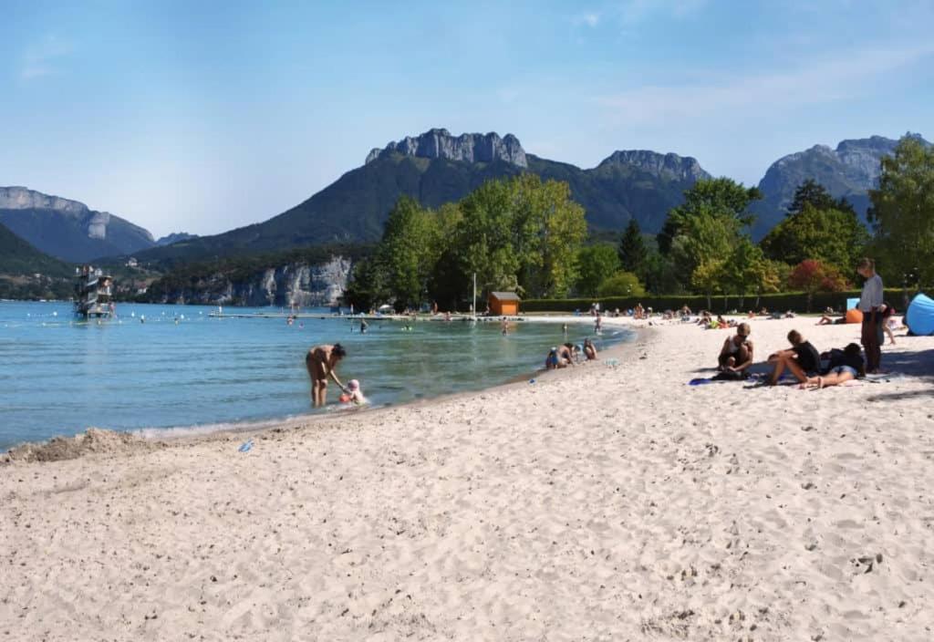 L'Appartement De Chiara A Annecy Bagian luar foto